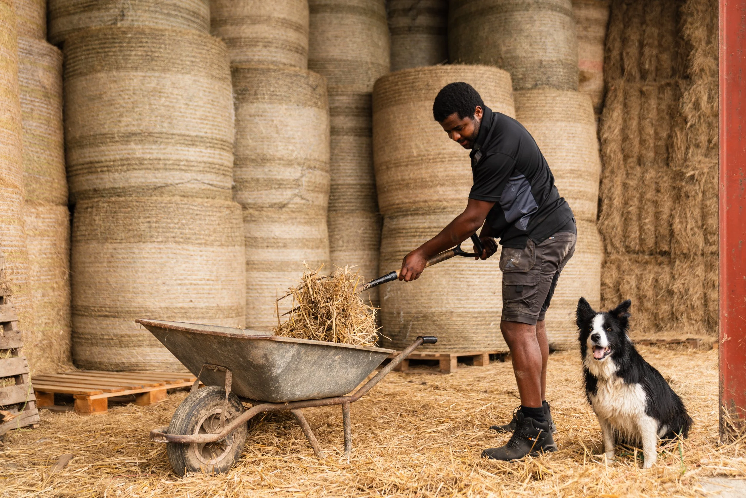 Xpert Workwear S/S 2025