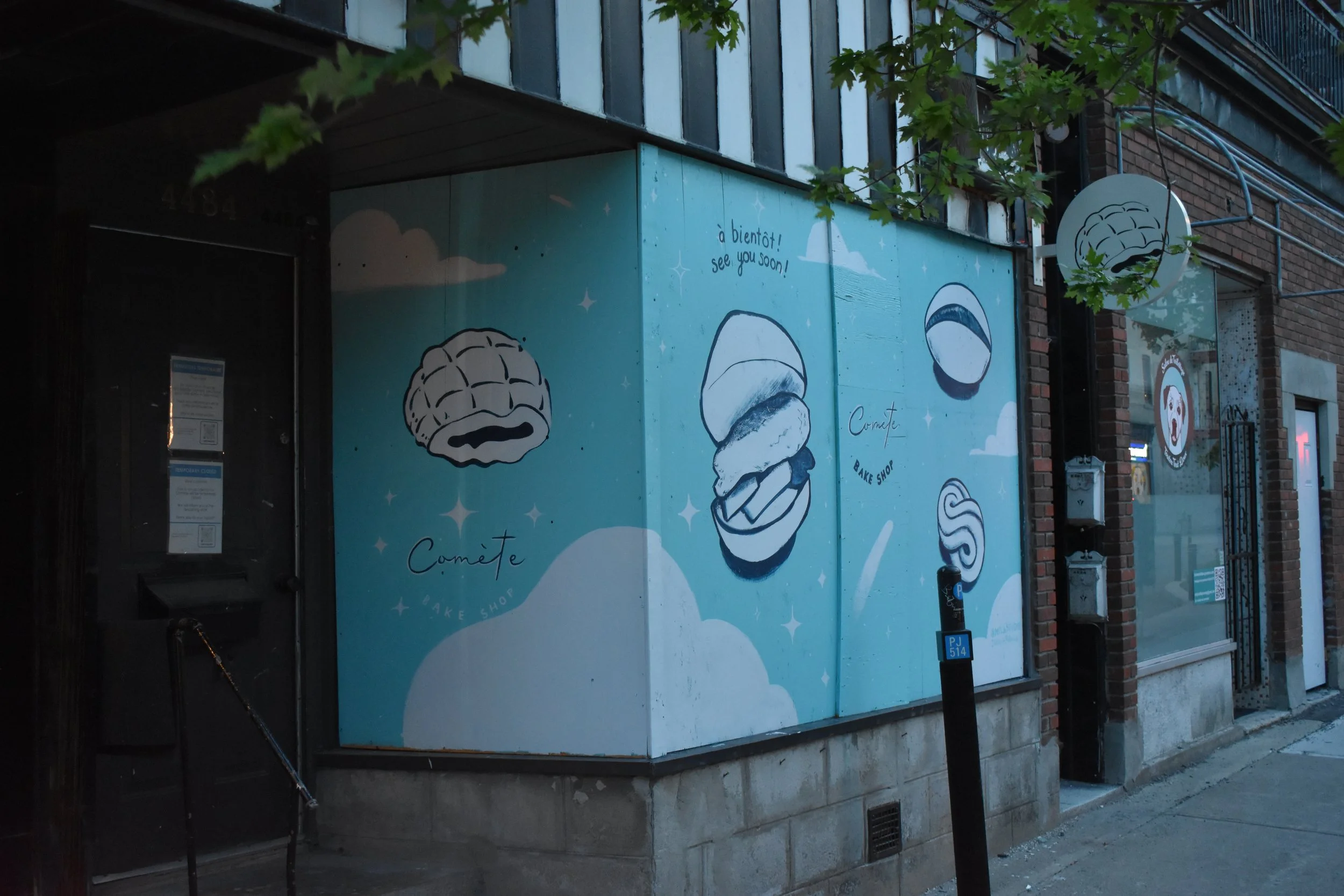 Murals