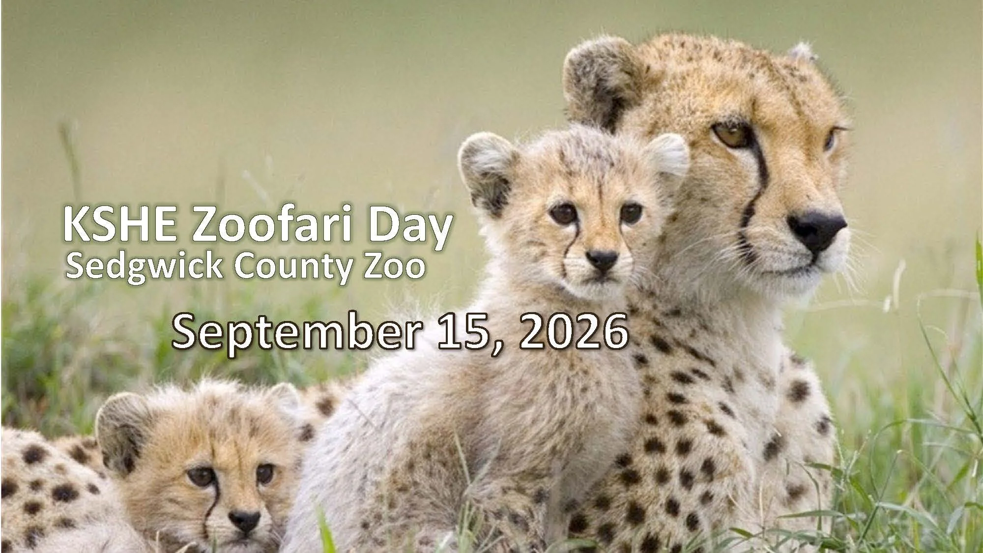 2025 zoo.jpg