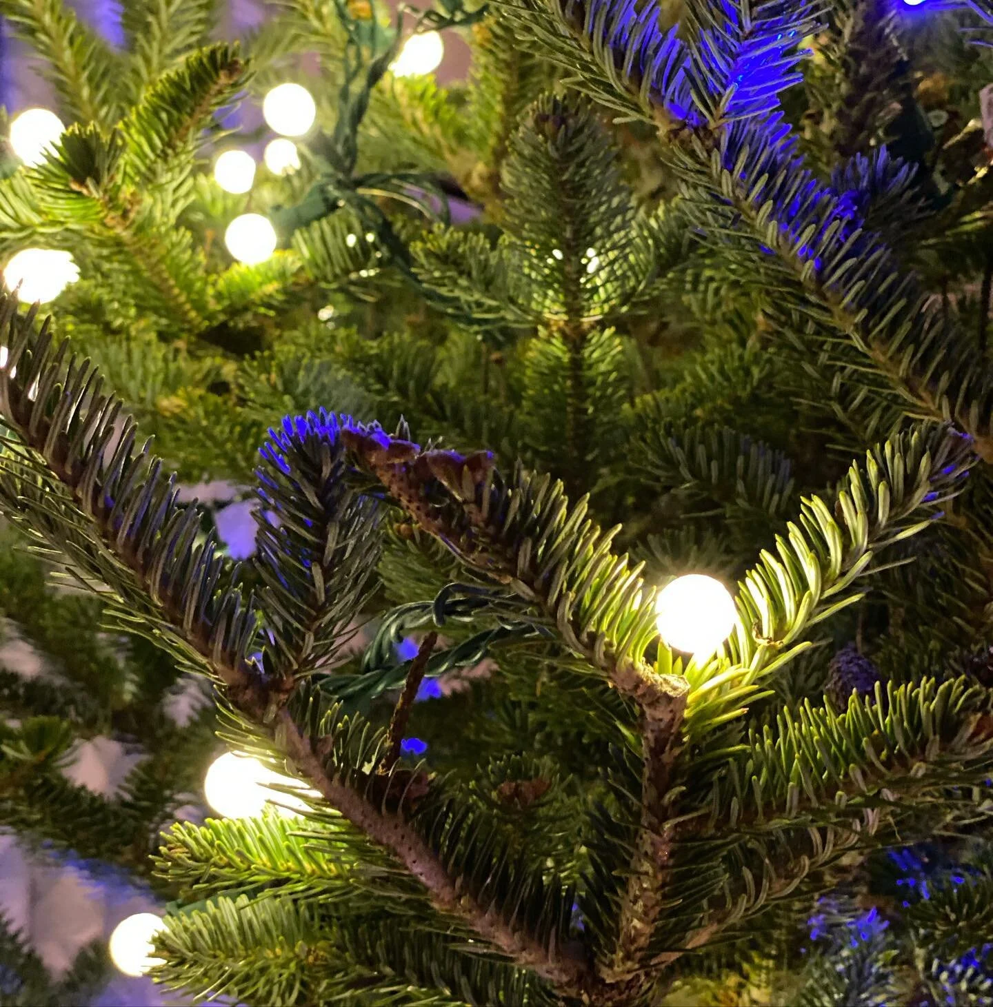 030 | Space to Breathe