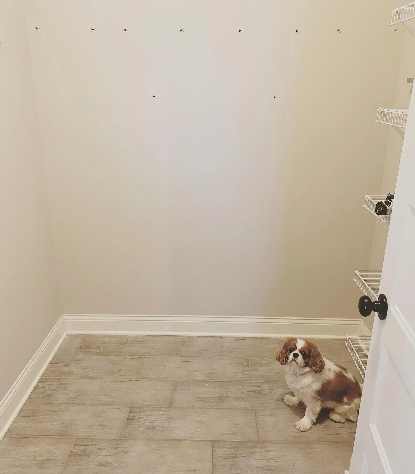 046 | A Closet Reboot