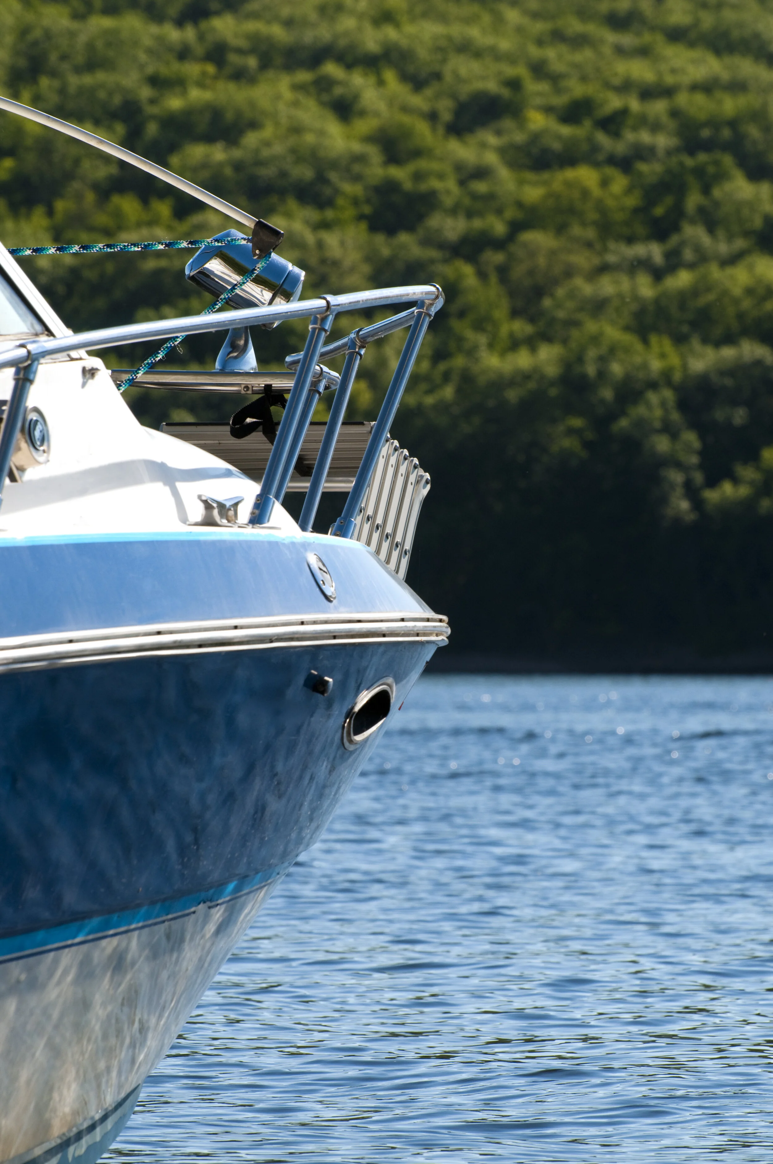 Bonus Reflection | “Hello, Water!”