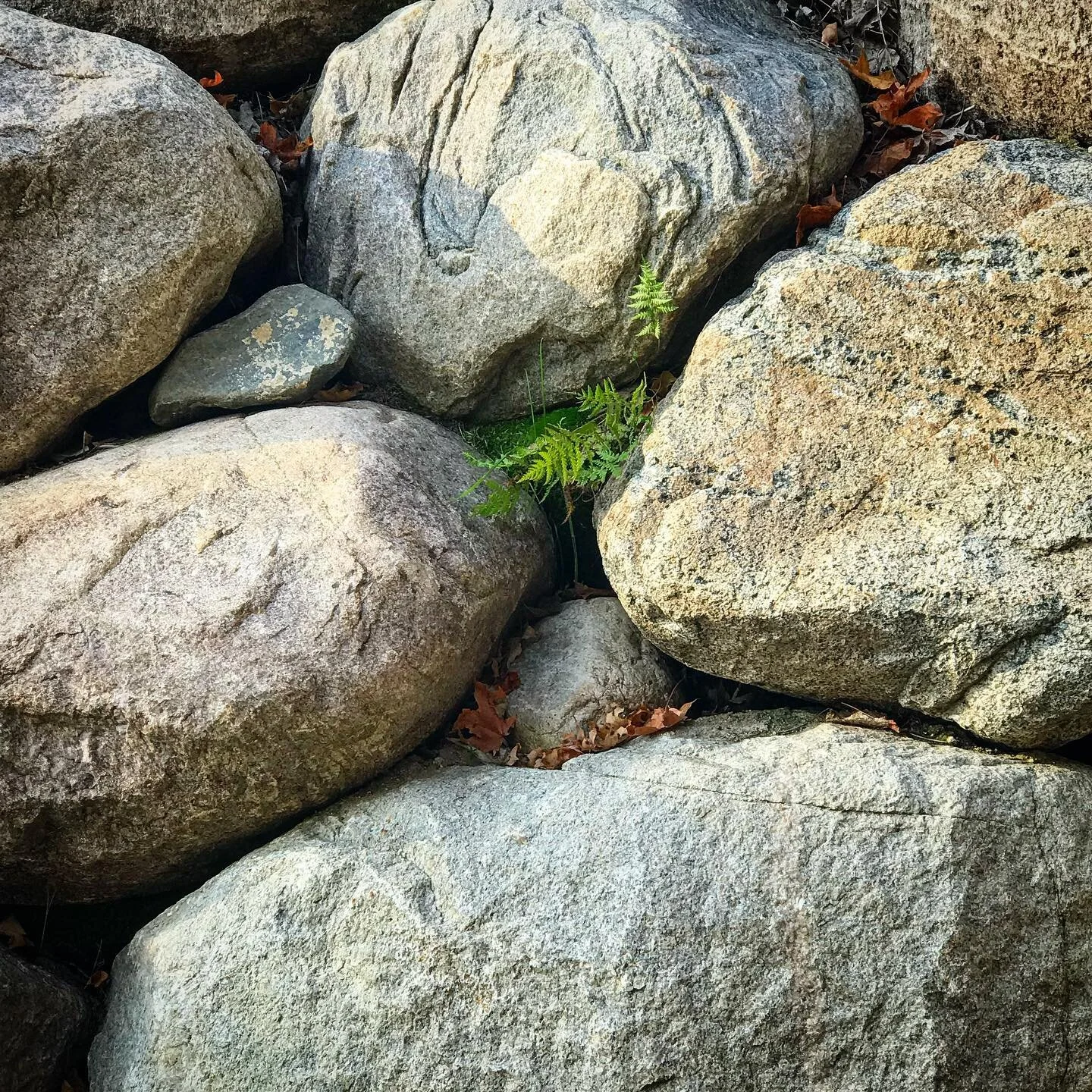 075 | Making Room for Heartbreak &amp; Grief