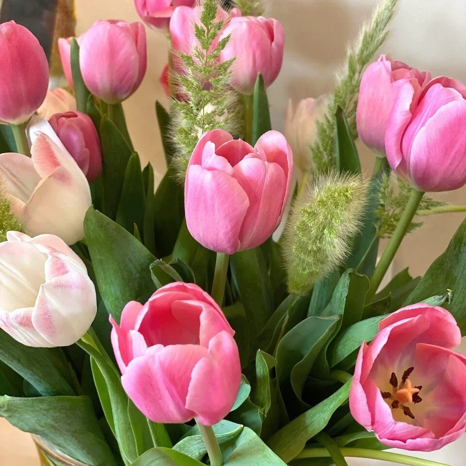 079 | Narrowing the Scope