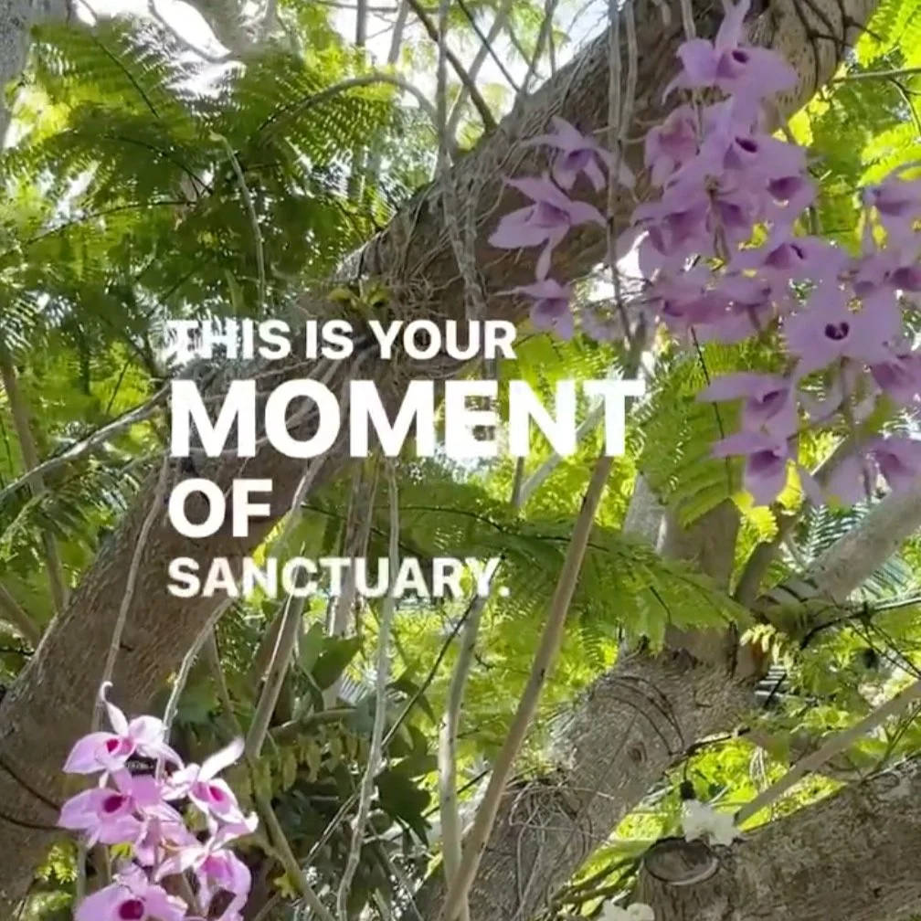 024 | Rest &amp; Renewal