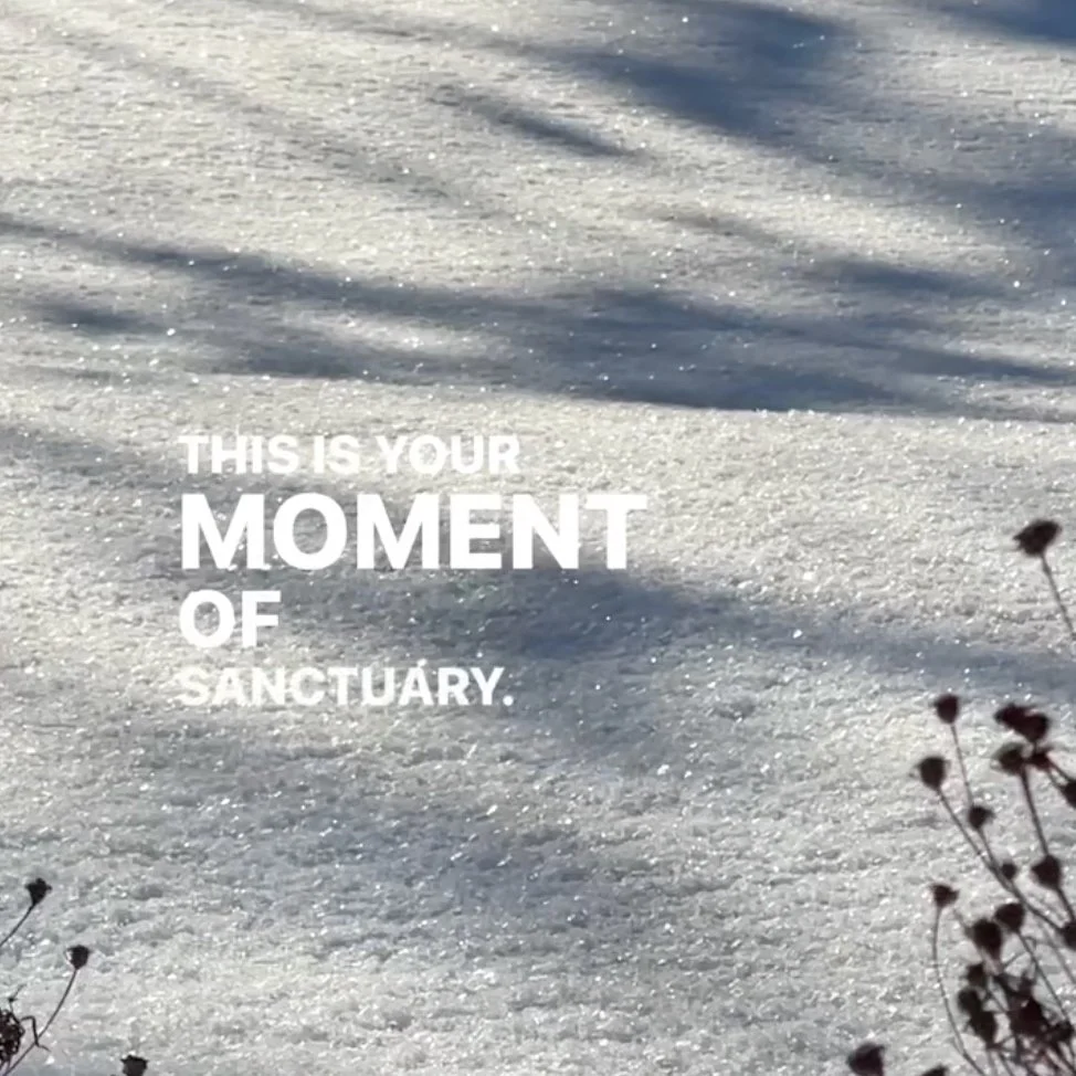 042 | Feel the Feelings