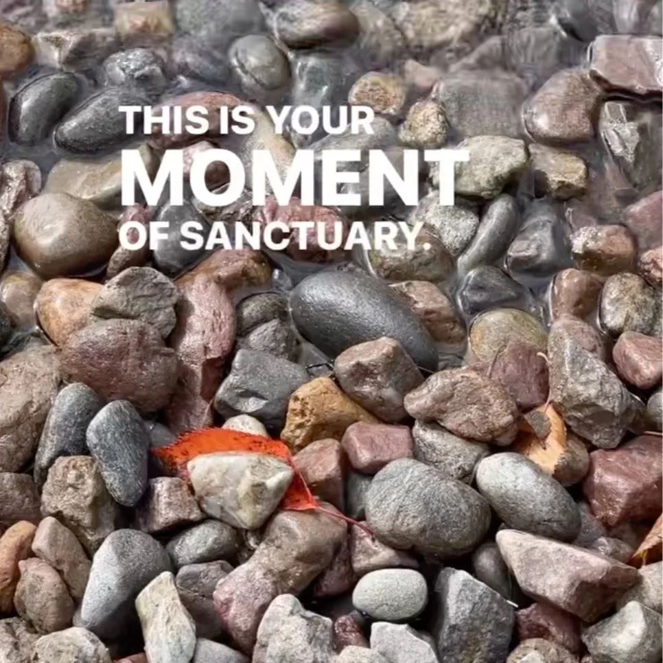 050 | Self-awareness