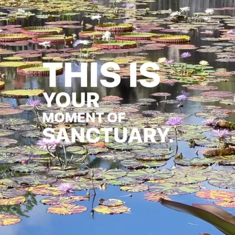 052 | Experiencing Love