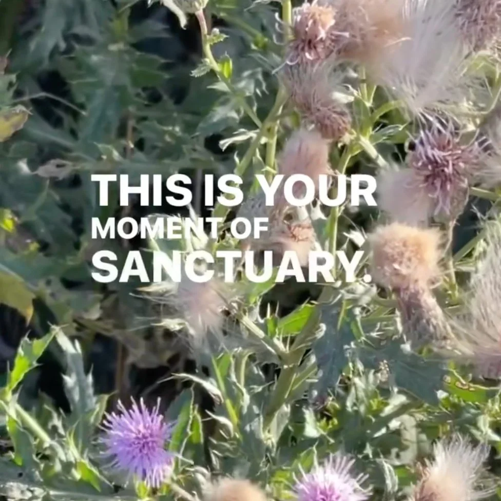 053 | Act of Service