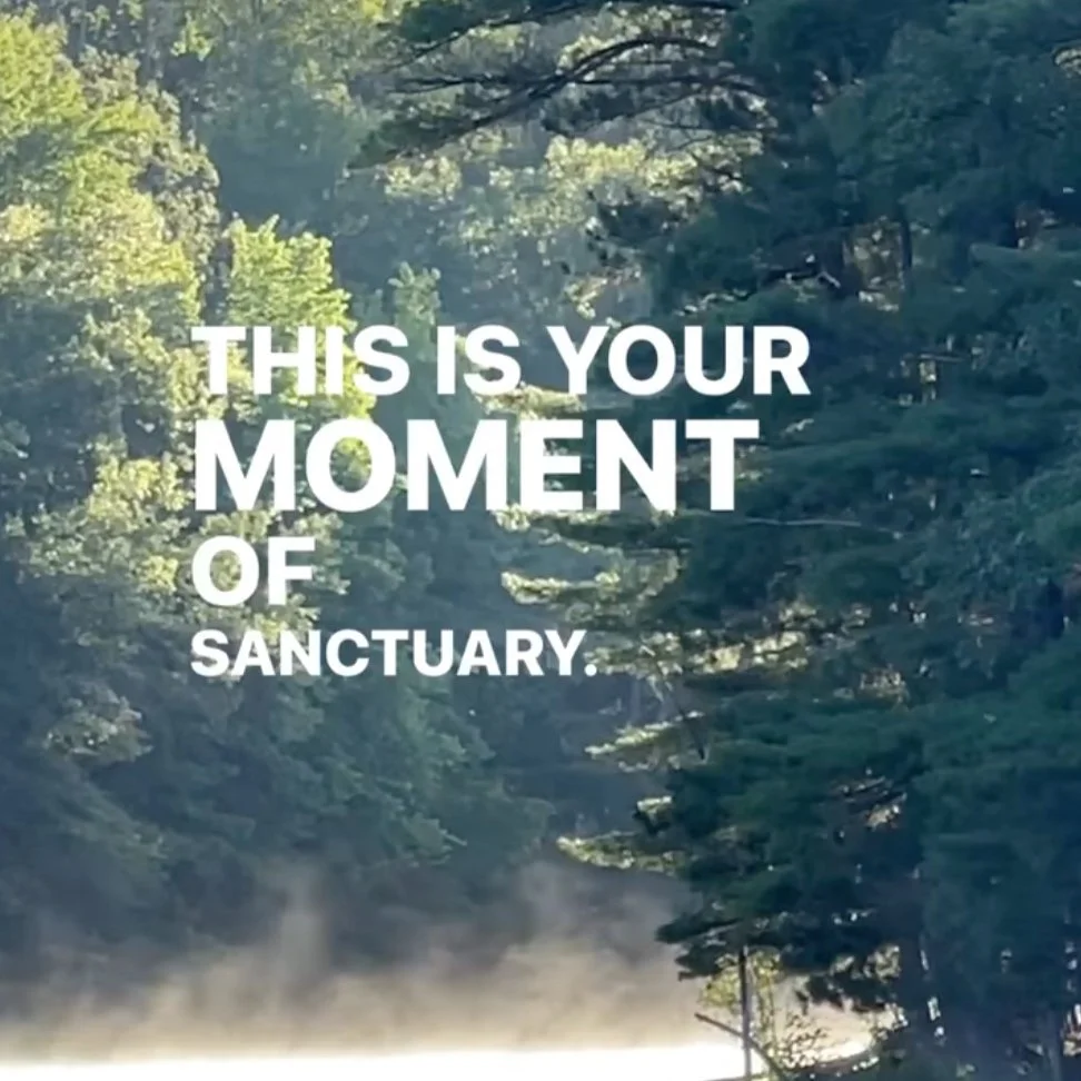 060 | Anticipate Your Needs