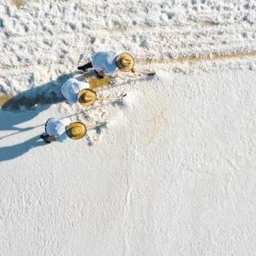 SALT