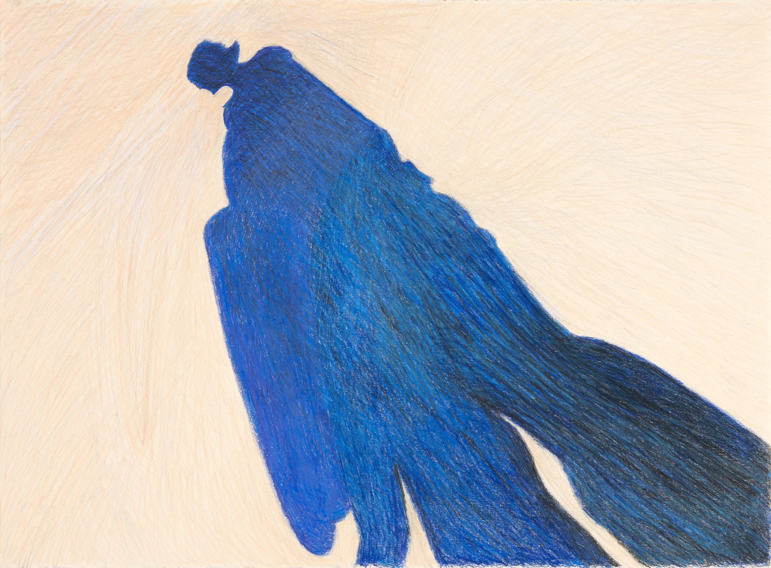 Beach Shadow, 2018, colored pencil on paper, 22" x 30"