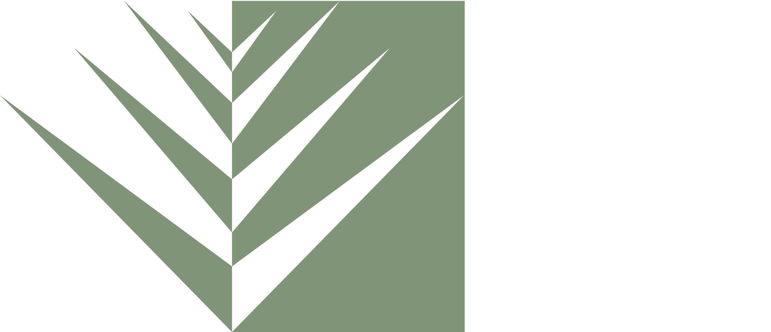 Llano Estacado Land