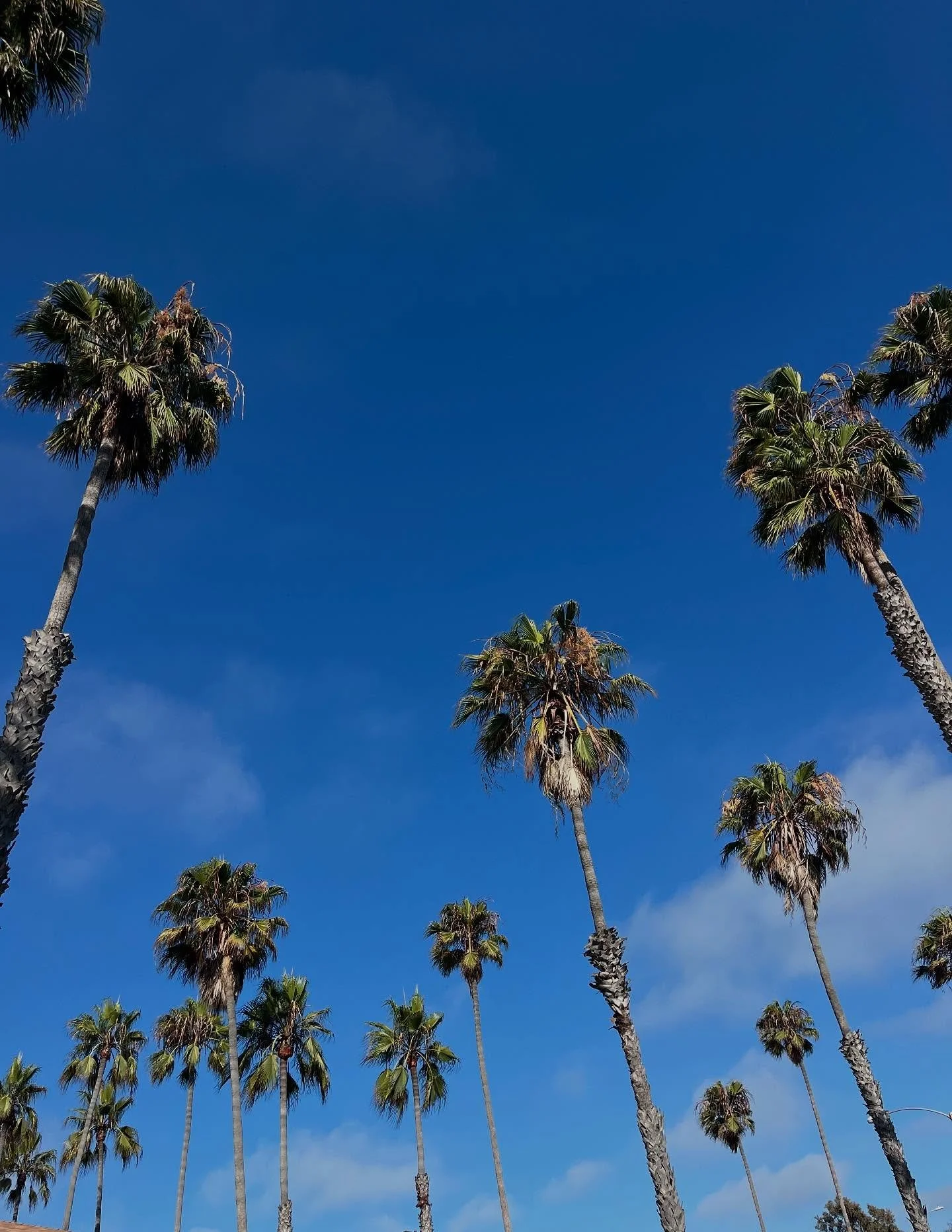LA so far 💕🌴