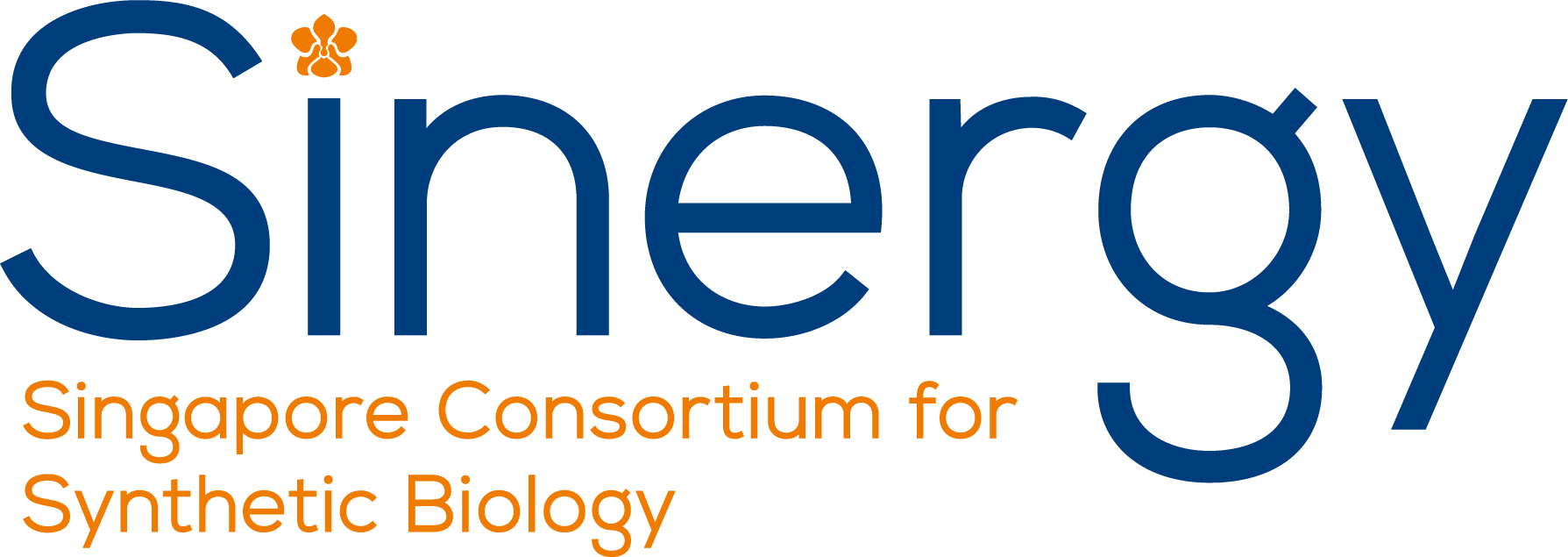 SINERGY
