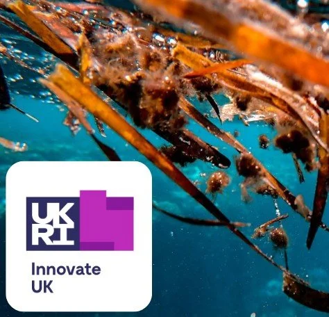 Webinar: UK Seaweed and Biomass/Biotech: Unlocking collaboration opportunities in UK processing
