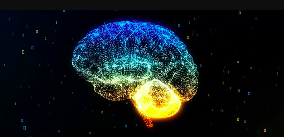 Can Lab-Grown Brains Think?