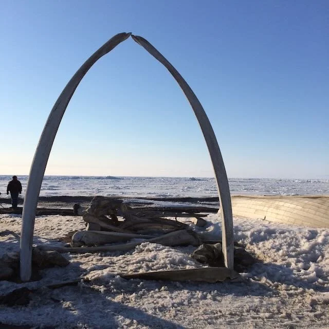 What Alaska Taught Me About Business and Trust