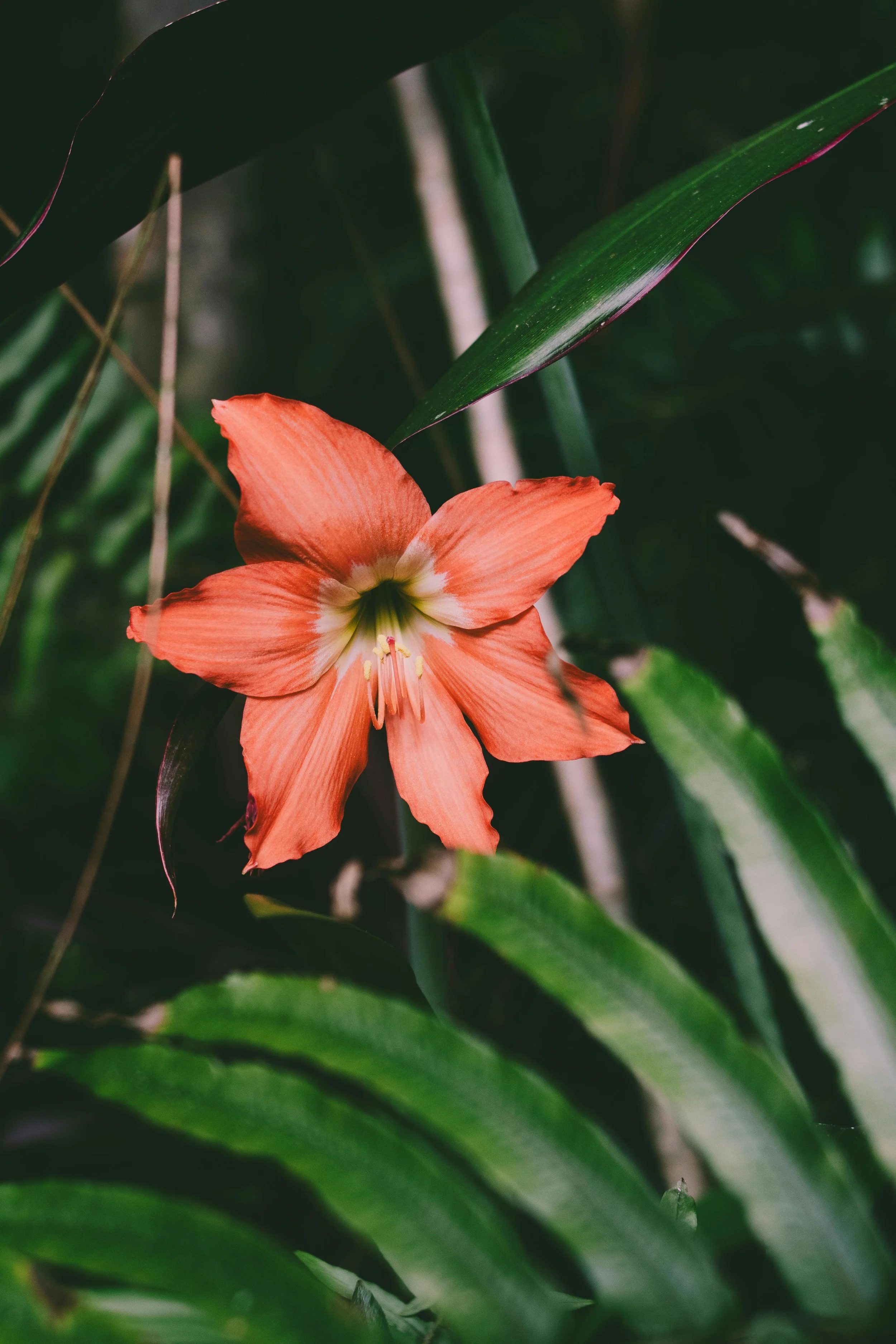 January_Week 1_Image C_Shade.jpg