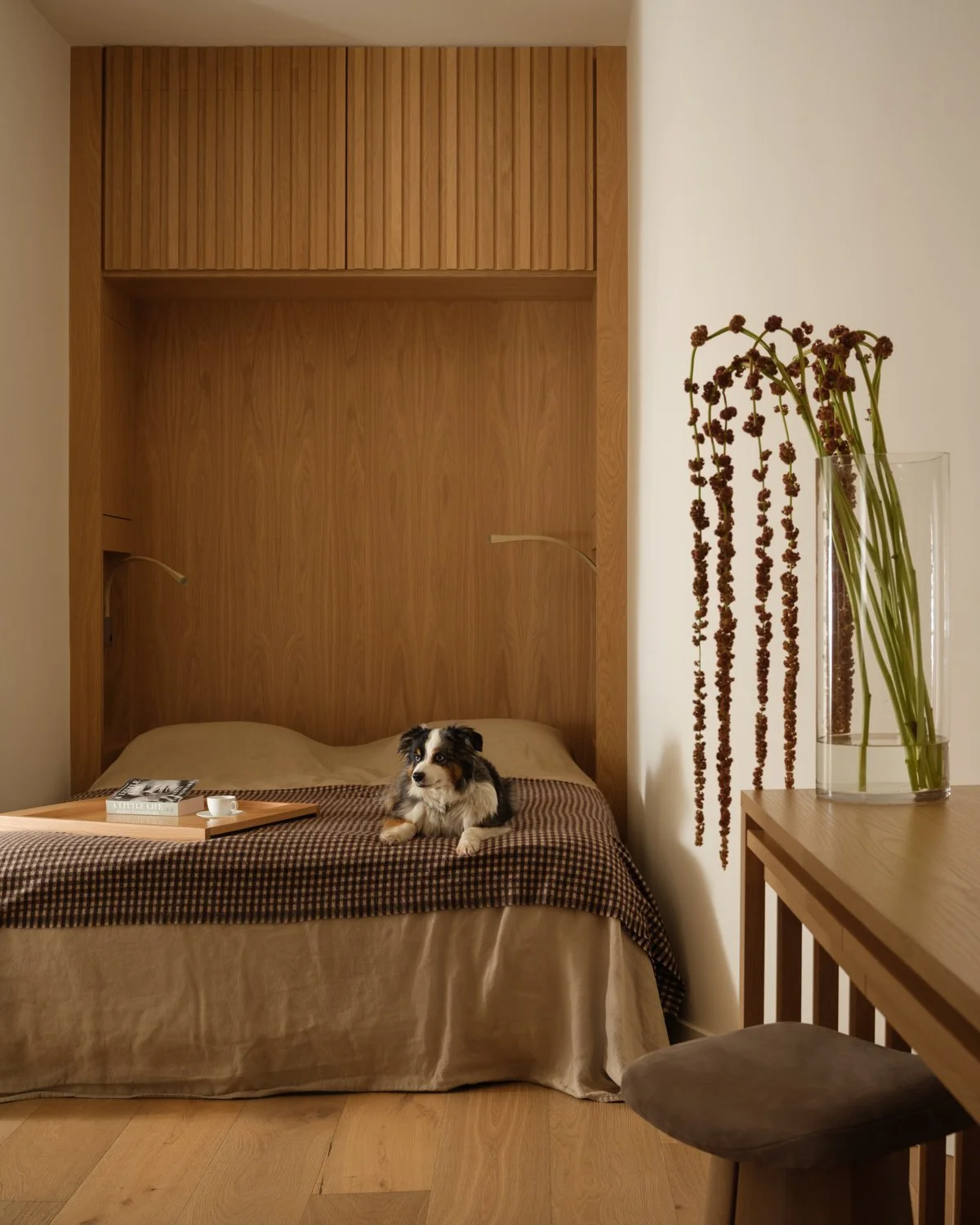 Custom Murphy Bed Renovation by Mammoth