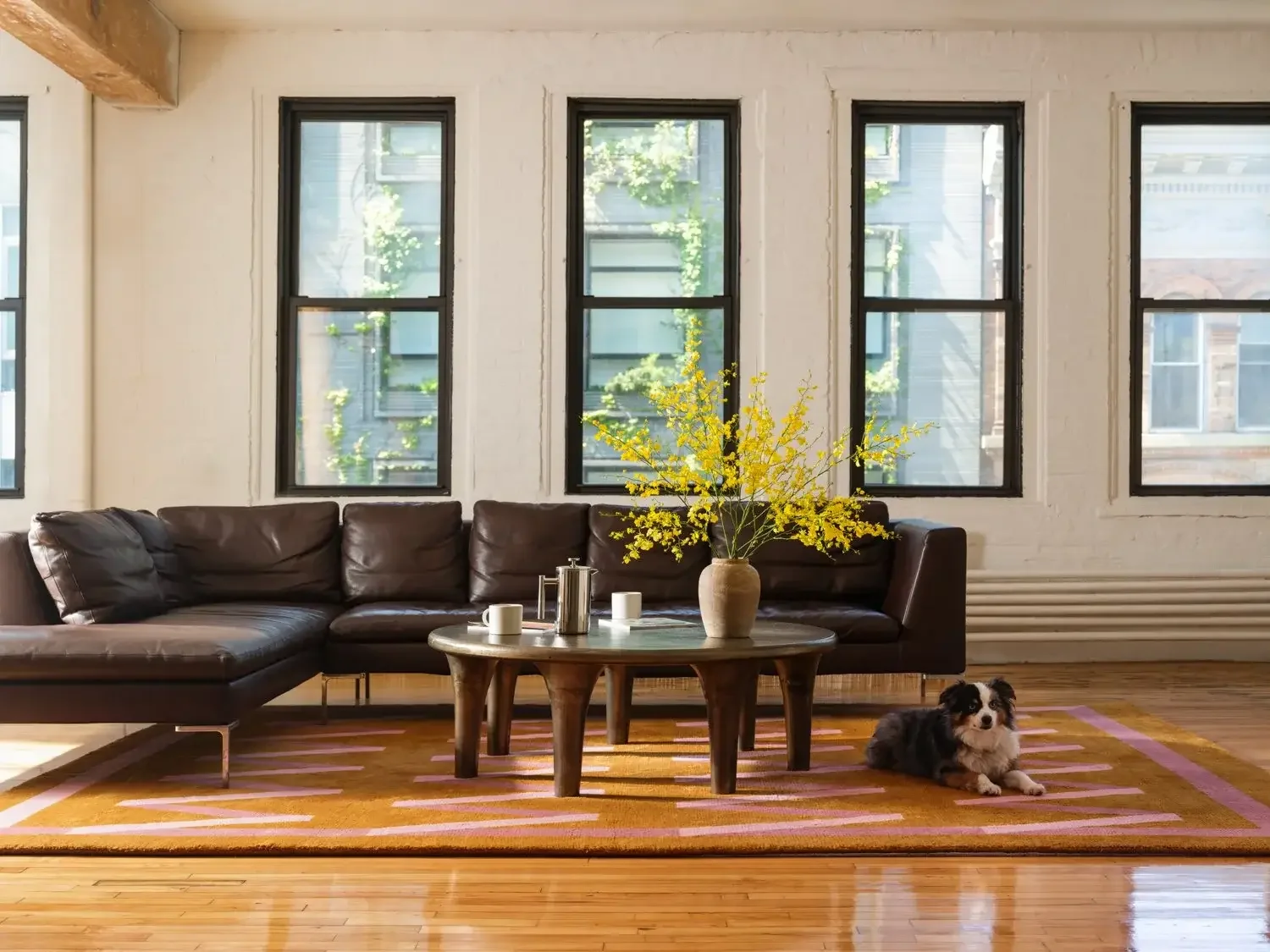Large leather sectional in modern living room with wood coffee table and dog