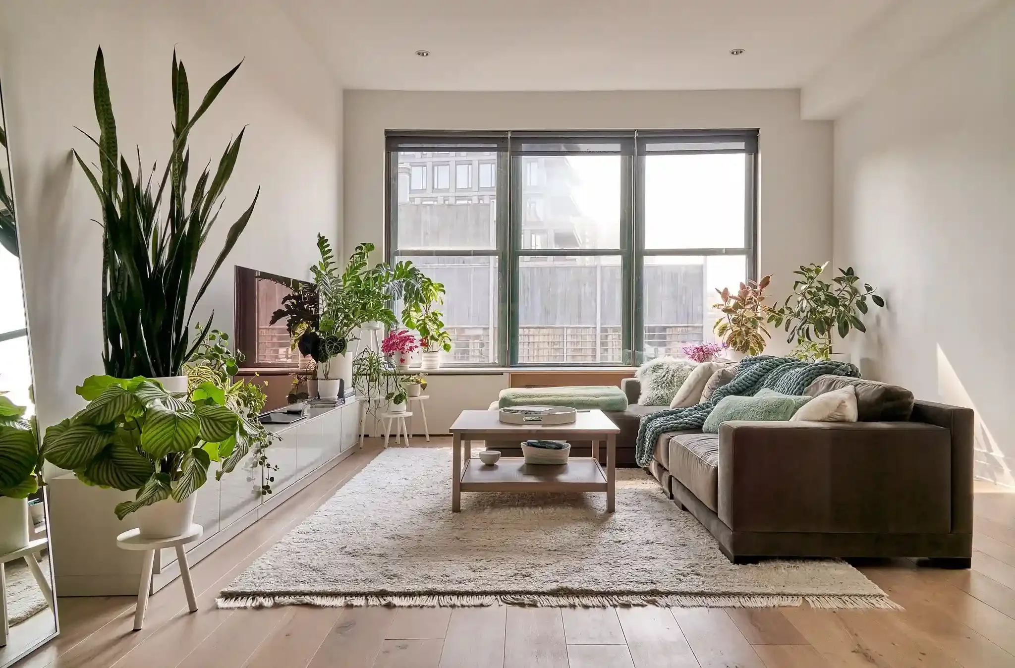 Side view of NYC living room with plants, sectional, and modern furniture
