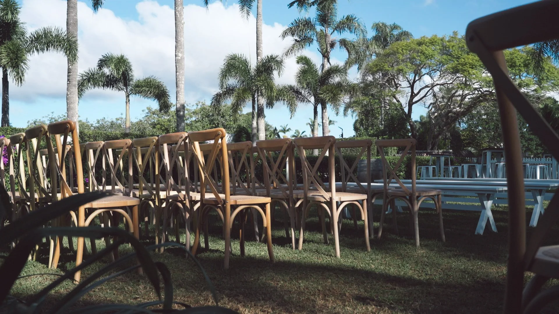 figs at the plantation wedding arrangment.jpg