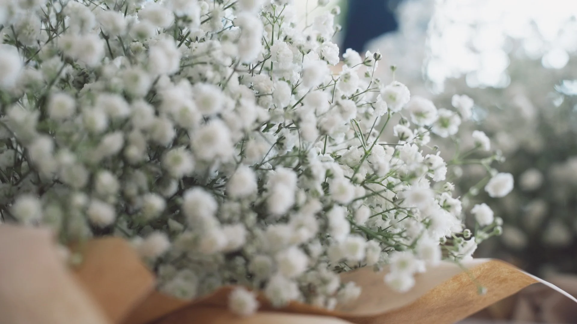 wedding flowers.jpg