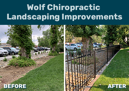 Wolf Chiropractic FLIP Success Story