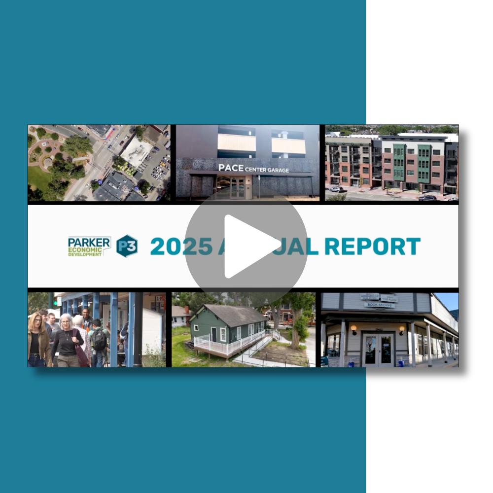 2025 P3 Annual Report