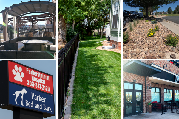 P3 Post eNewsletter - May