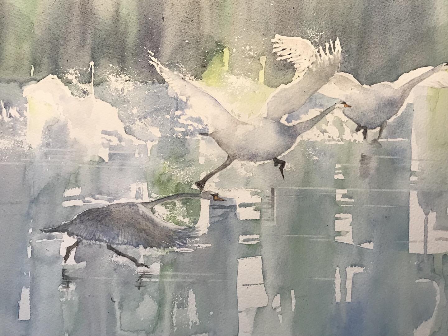 Earlier work.  Semi abstract watercolour.  Flight of the Swans