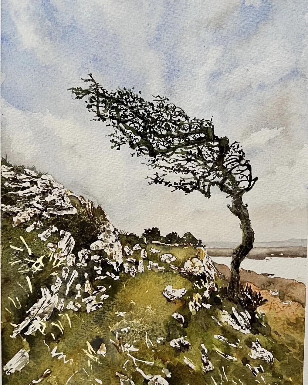 The power of the wind in Ireland 💚

Original watercolour
Size A4
.
.
.

#watercolour
#watercolourpainting
#watercoloursocietyofireland
#shirleygiffney
#irishart
#irishartist
#irishwatercolourartist
#irishartists
#irishartoninstagram
#watercolorplane