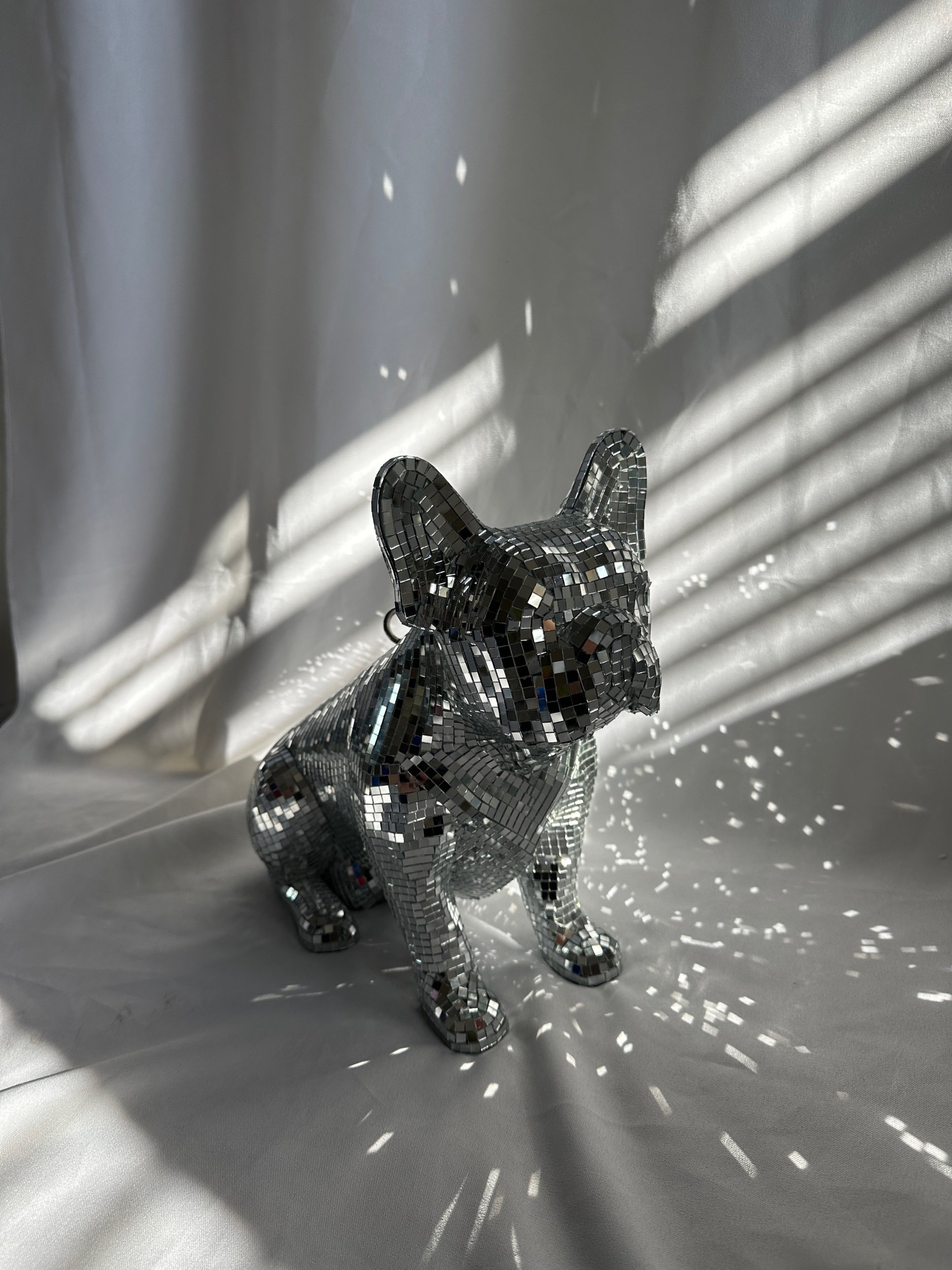 EA5503BF-A8F1-4897-A212-37D12401D6F3.jpeg