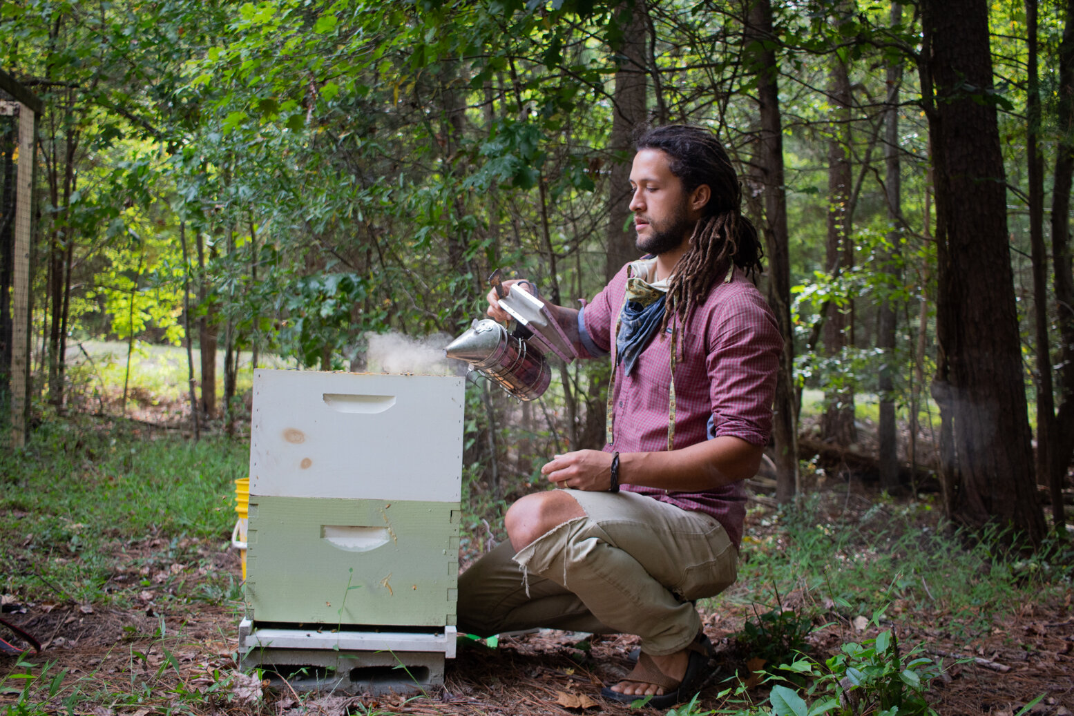 Do Beekeepers Ever Get Stung?