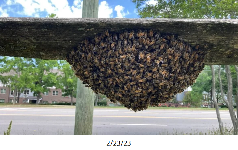 Screenshot 2025-10-28 203440.png