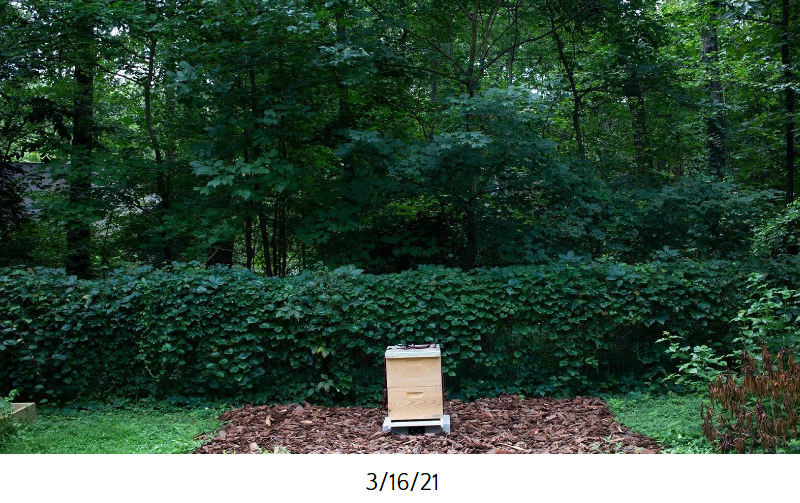 Screenshot 2025-10-28 140411.png