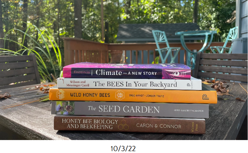 Screenshot 2025-10-28 202655.png