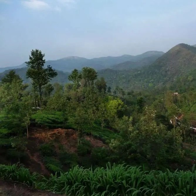 Western-Ghat.jpeg