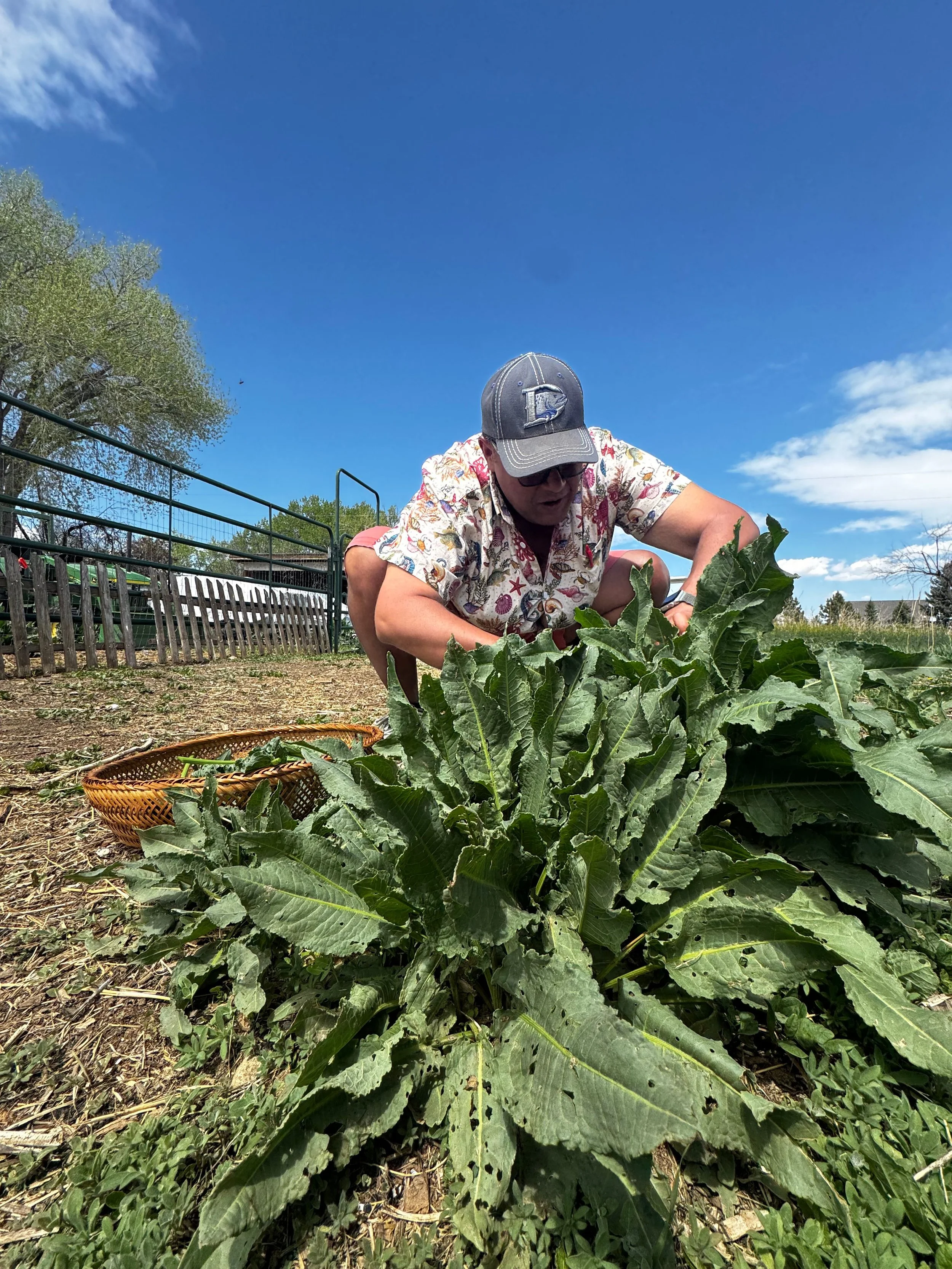 Untitled design (5).jpg