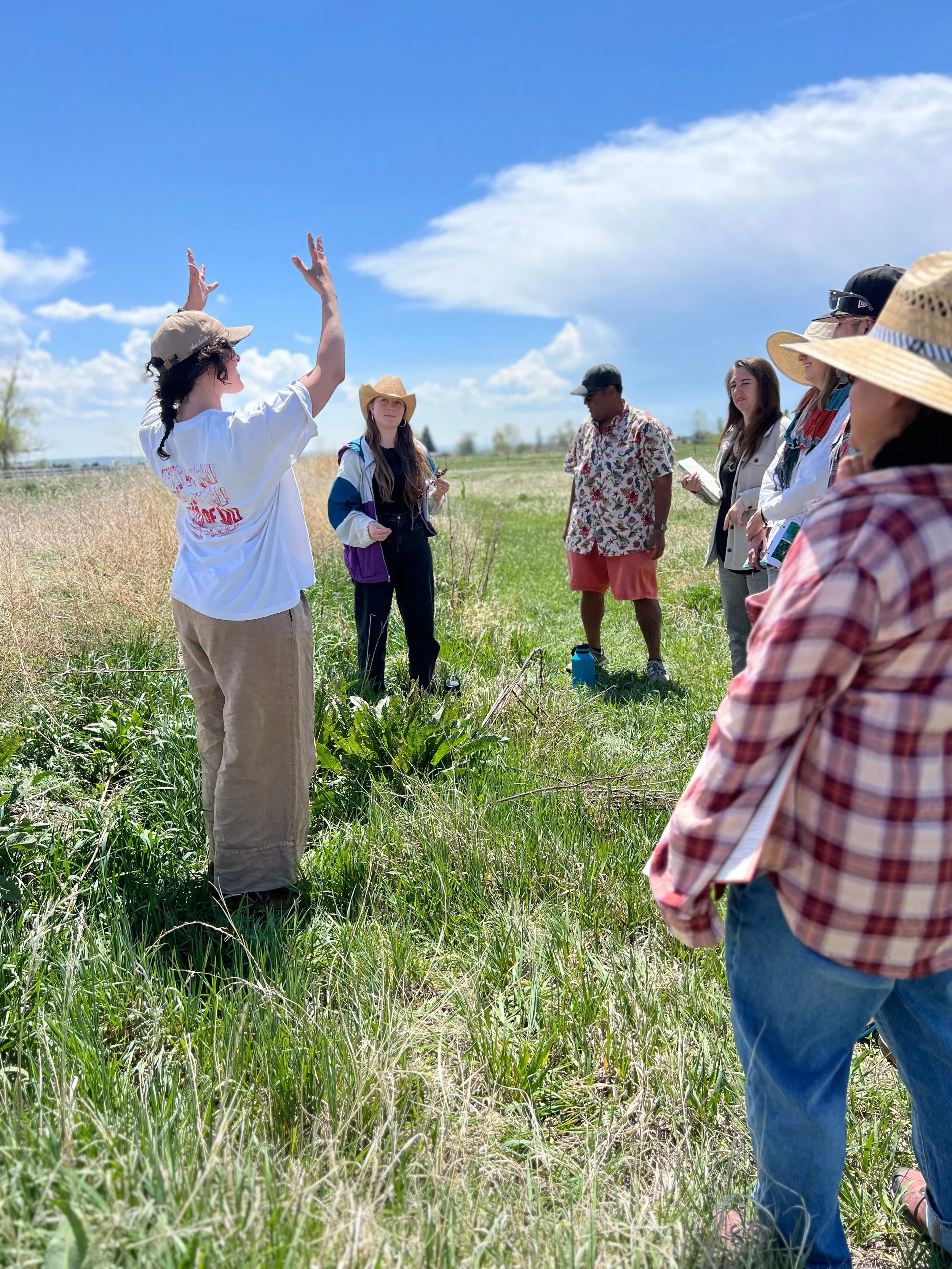 Untitled design (7).jpg