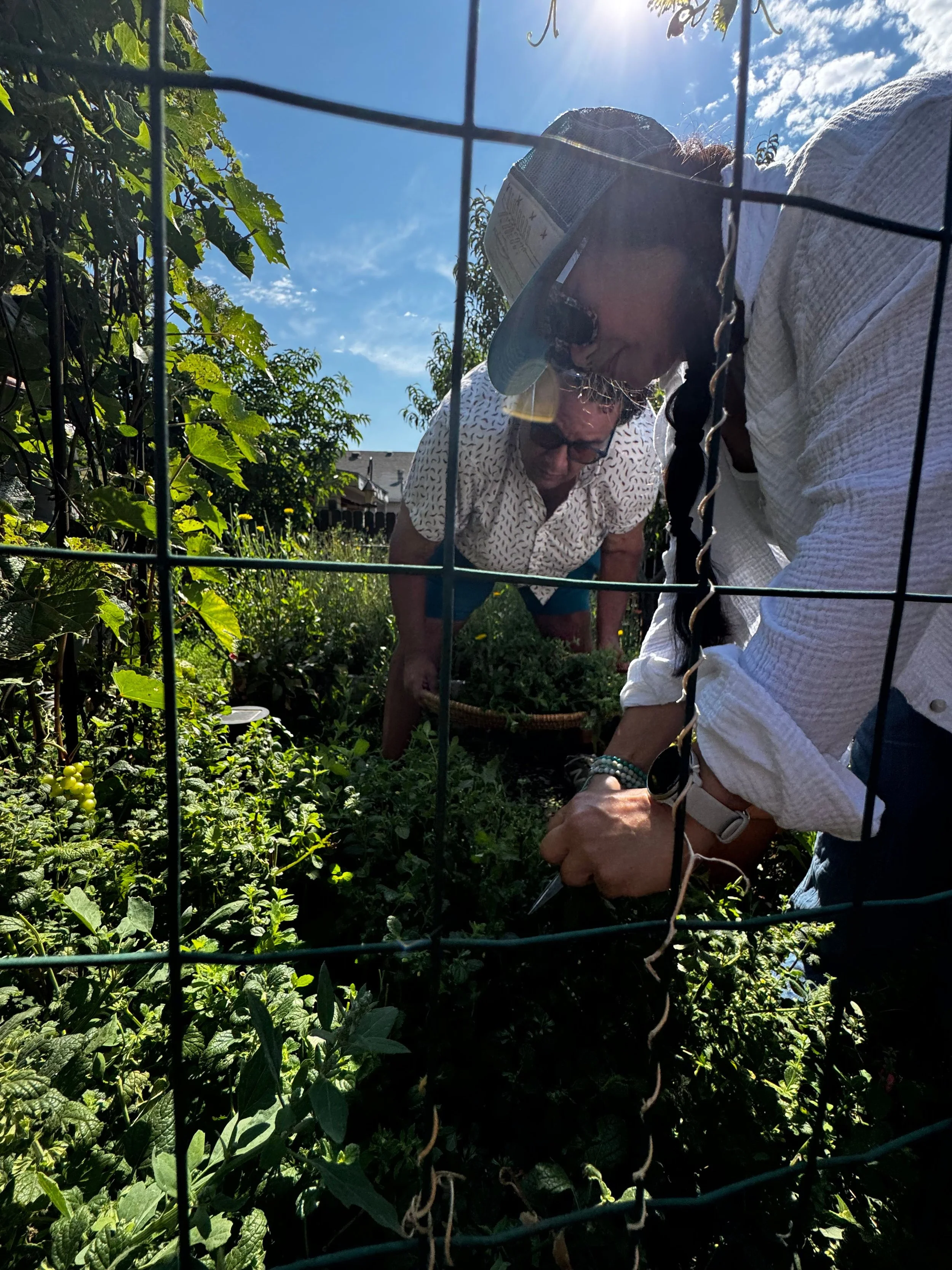 Untitled design (14).jpg