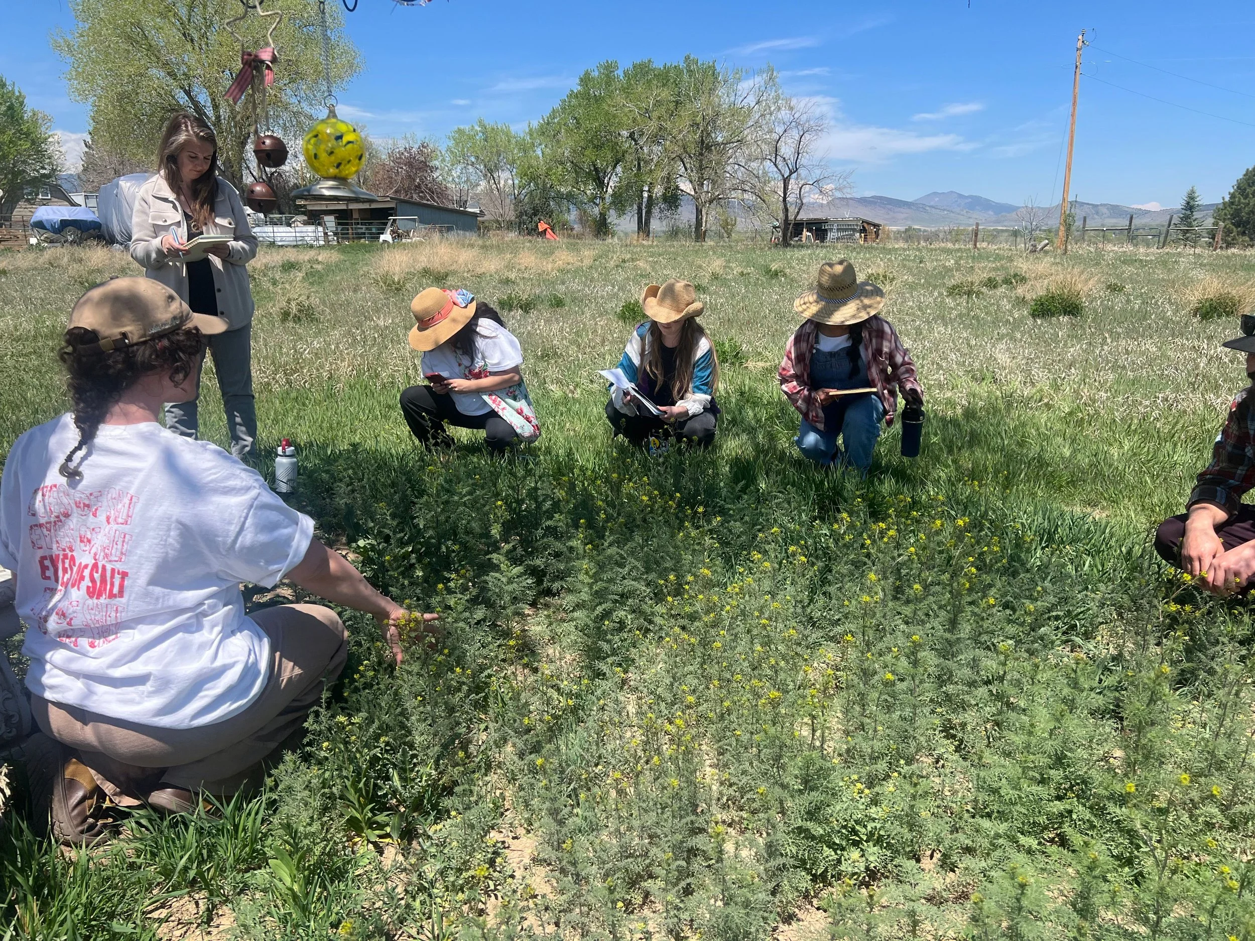 Untitled design (8).jpg