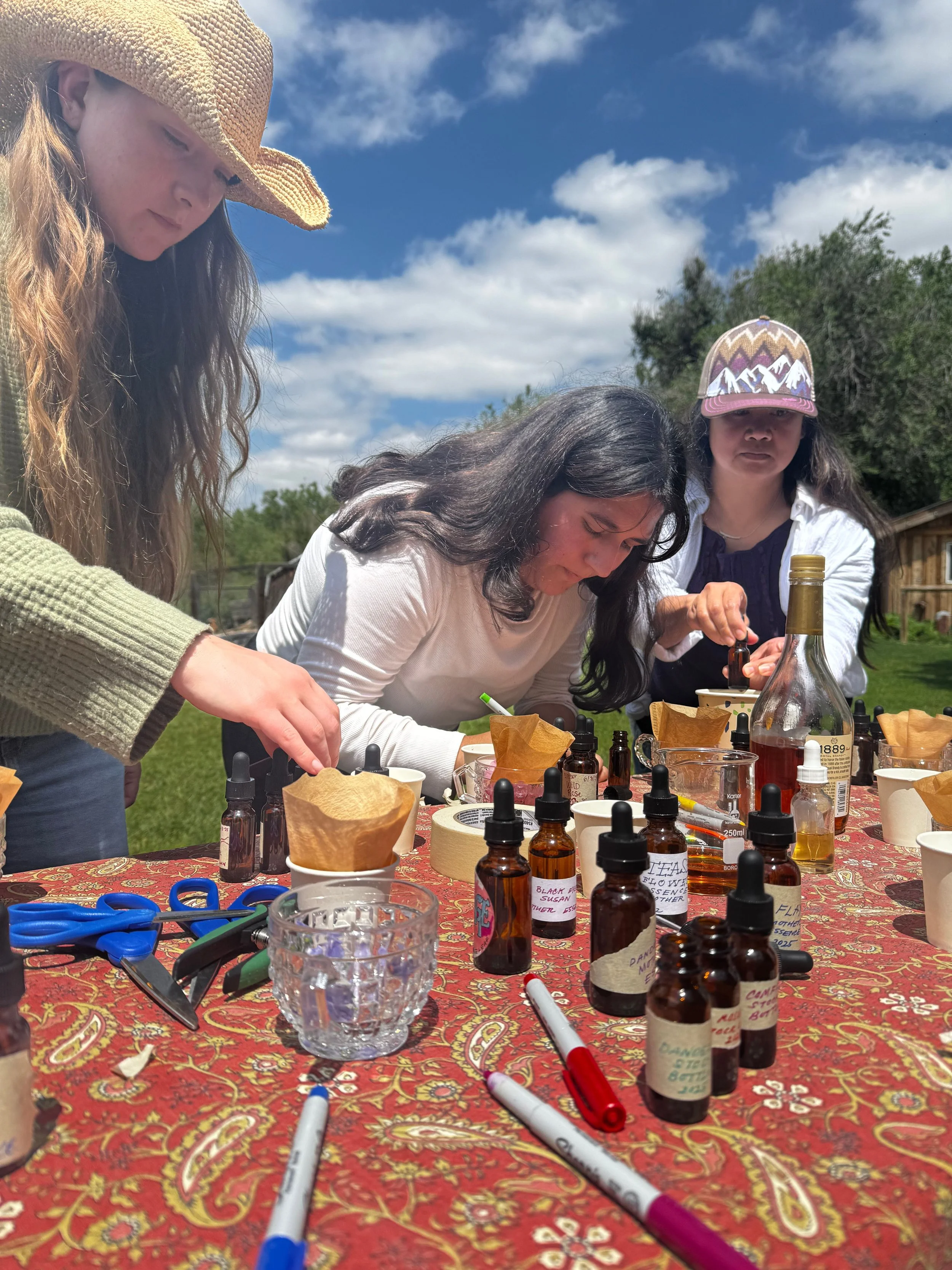 Untitled design (3).jpg