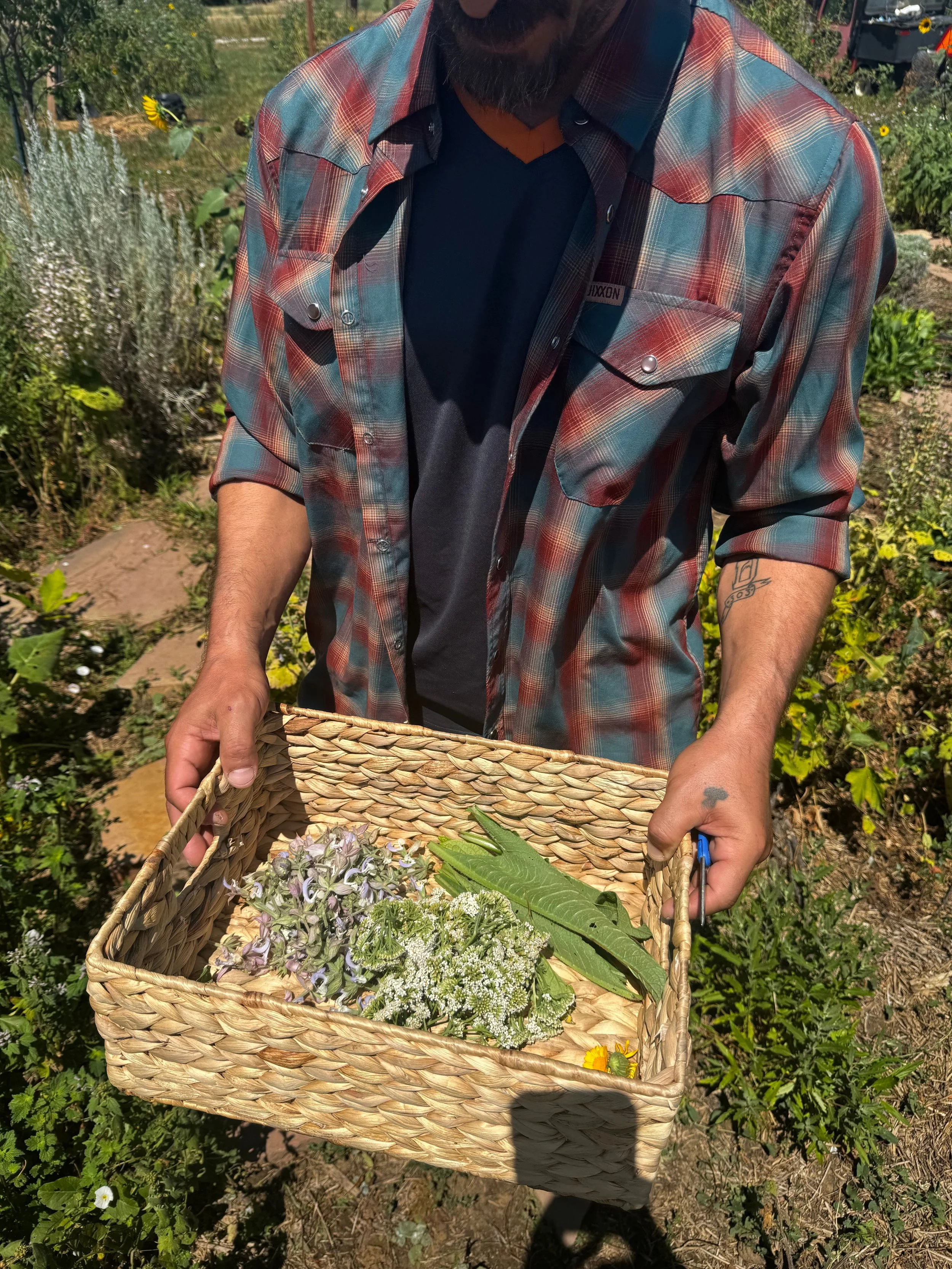 Untitled design (2).jpg