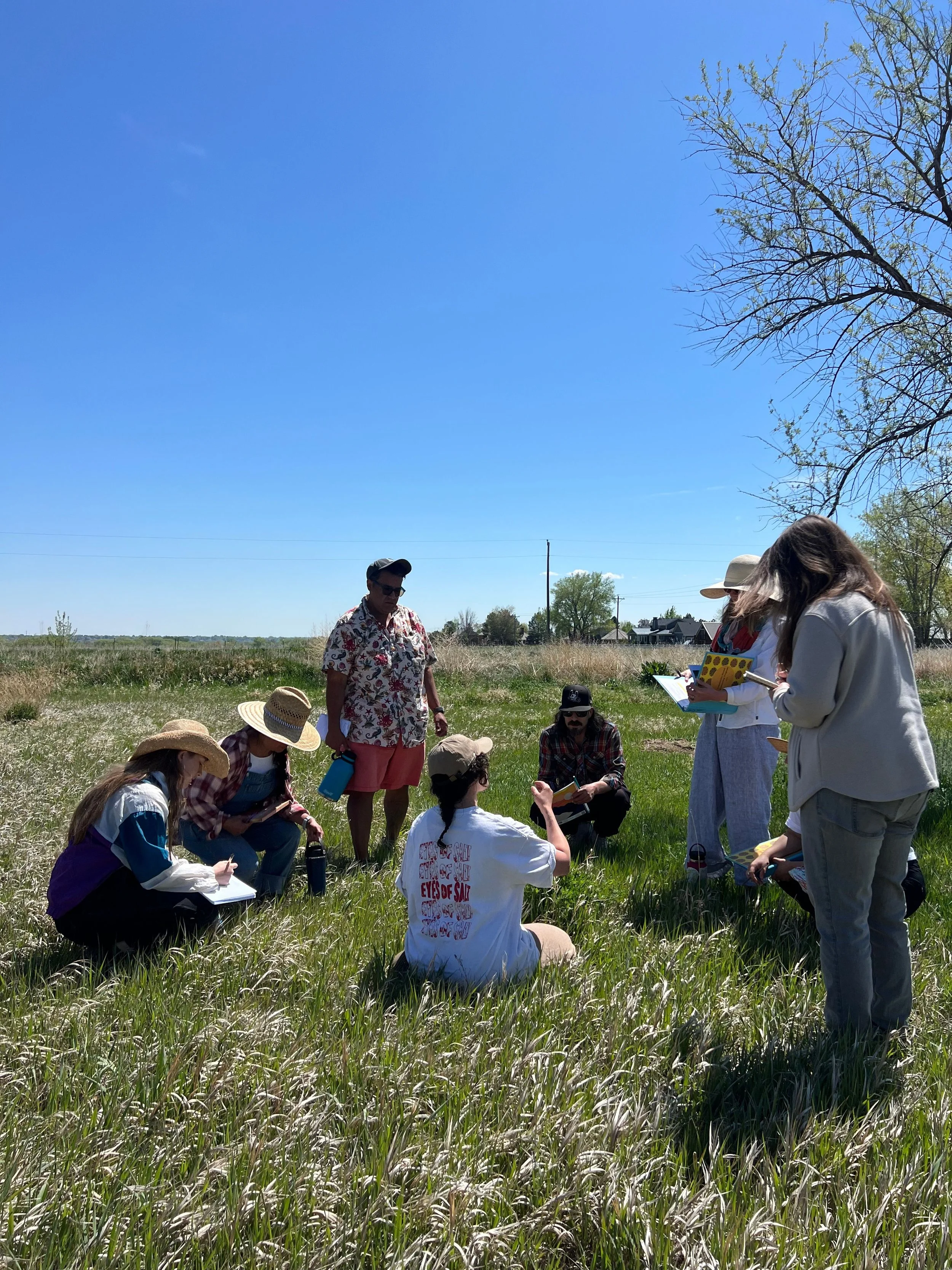 Untitled design (9).jpg