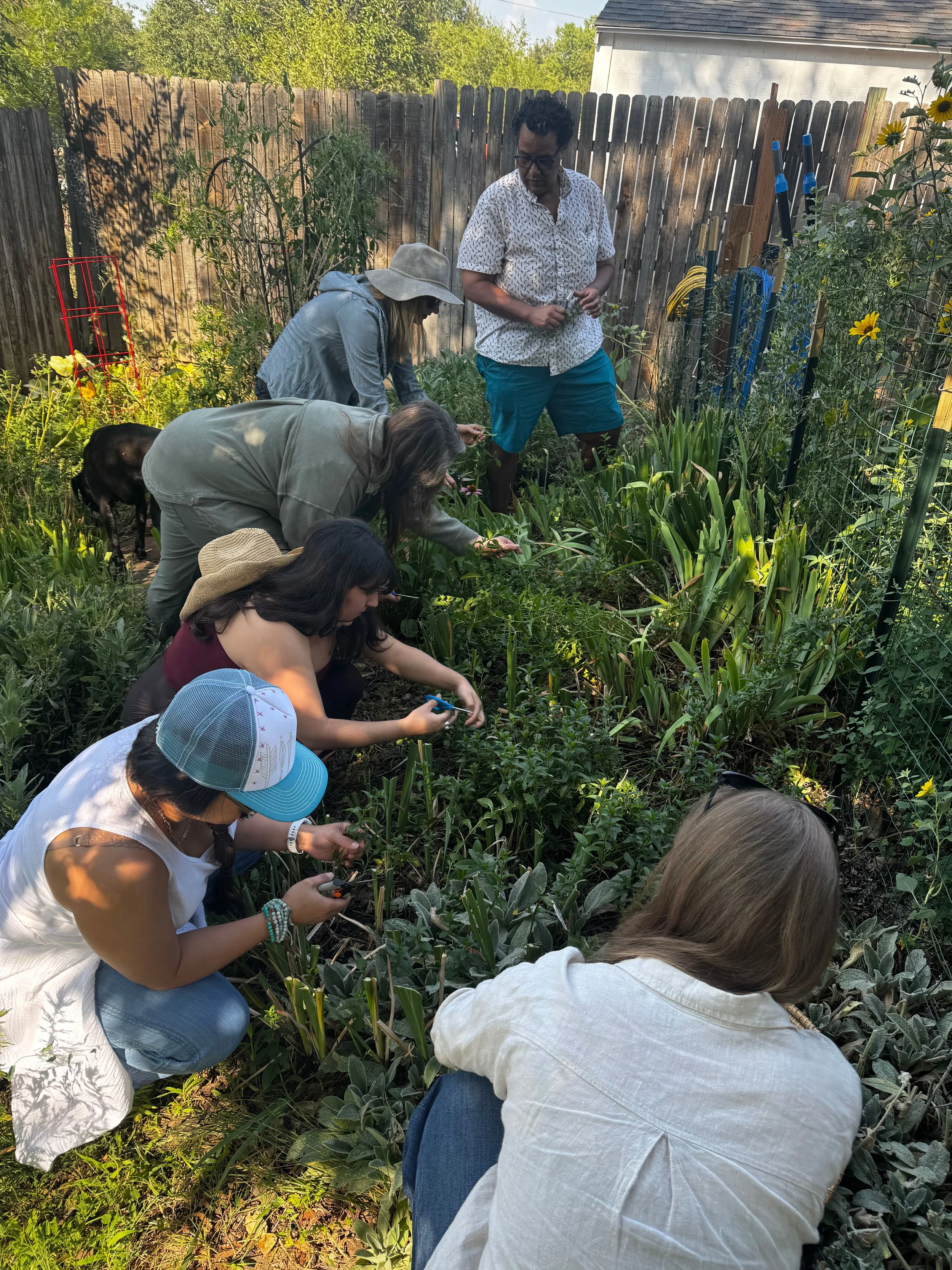 Untitled design (15).jpg