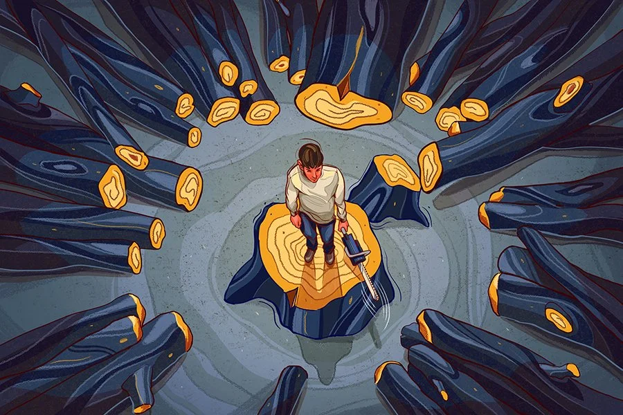 Ikea's Illegal Deforestation