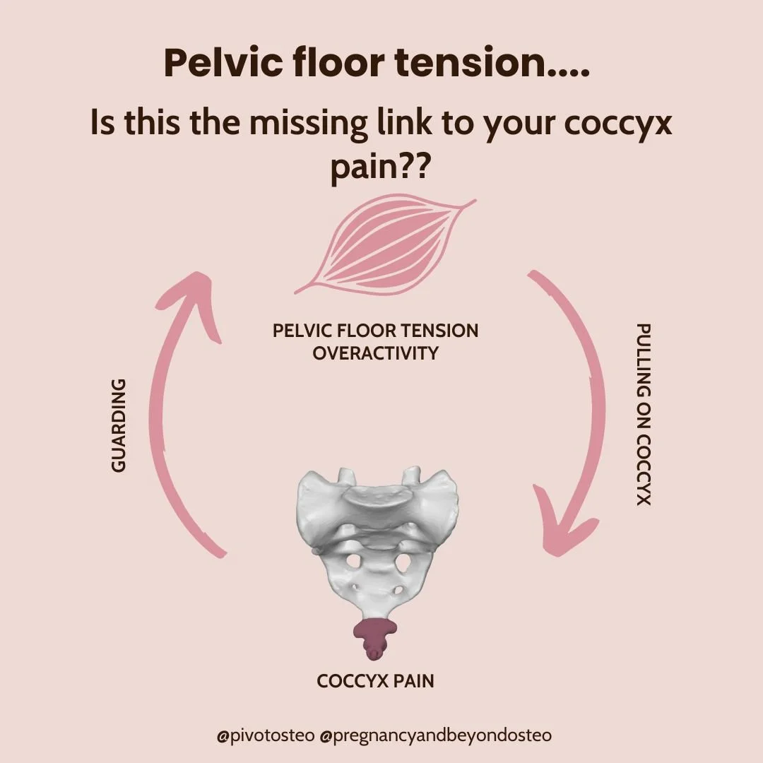 Diagram illustrating the pain-tension cycle between pelvic floor overactivity, muscle guarding, and coccyx pain.