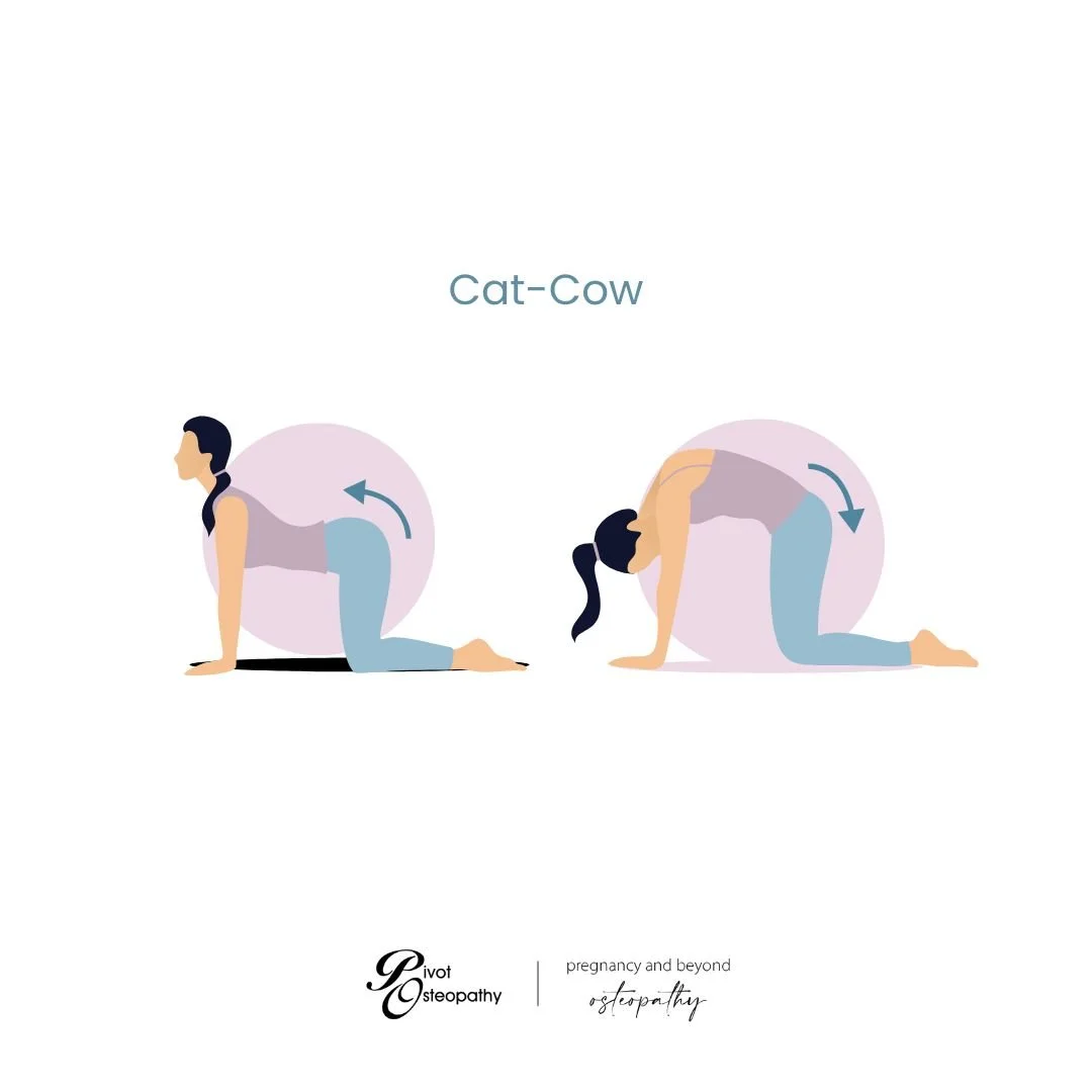 Person on all fours showing cat cow mobility stretch for tailbone pain relief